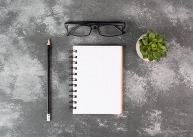 Empty notebook with a pen, eyeglasses and a cactus on a dark gray background, brainstorming for new ideas, writing a message, taking a break, home office desk