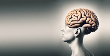 Beyni olan bir kafa, Parkinson hastalığı, Alzheimer bilinci, akıl hastalığı, psikoloji sorunları, serebral damar trombozu, illüstrasyon
