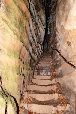 Lüksemburg, Perekop Kanyonu 'ndaki Mullerthal patikası. Kum taşı oluşumları olan bir ormanda yürüyüş.