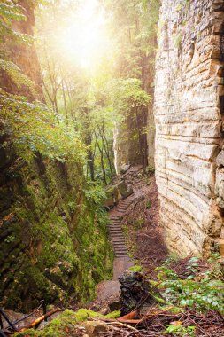Lüksemburg 'da Echternach ve Berdorf arasında kum taşı oluşumları olan bir ormanda yürüyüş yaparken 