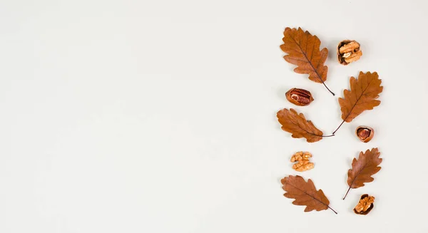 Autumn Season Background Frame Colorful Foliage Brown Oak Leaves Nuts — Stock Photo, Image