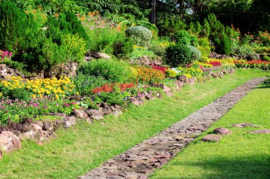 Bahçedeki patika ve çiçek güneş ışığıyla.