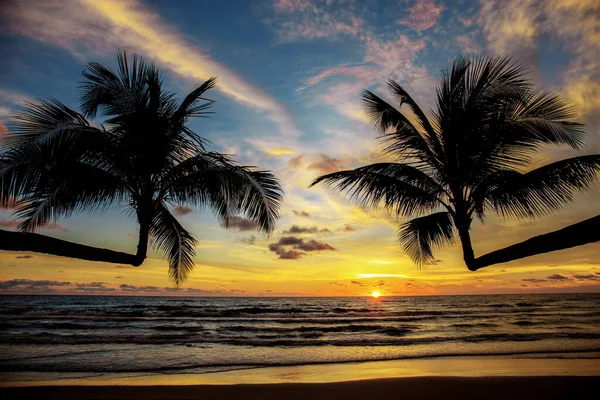 Palme Meer Mit Sonnenuntergang Und Himmel — Stockfoto