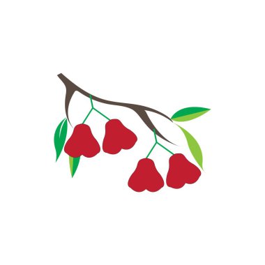 su elması guava vektör tasarımı ilüstrasyon simgesi logo şablonu