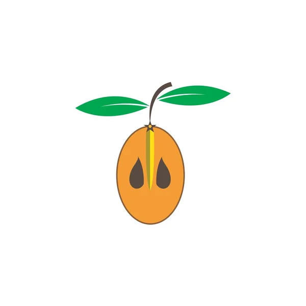 Illustration Icône Conception Logo Fruit Sapodilla — Image vectorielle