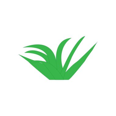 aloevera tasarım resimleme logo şablonu