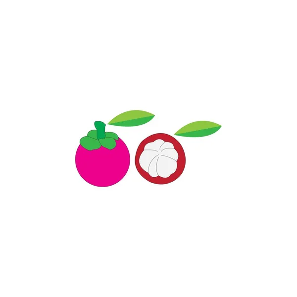 Mangostán Fruta Diseño Ilustración Icono Vector Logotipo Plantilla — Foto de Stock