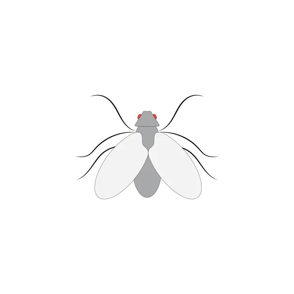 Fly Design Illustration Icon Logo Templat — Stock Vector