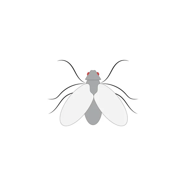 Fly Design Illustration Icon Logo Templat — Διανυσματικό Αρχείο