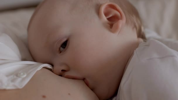 Close-up adorable toddler face drinking milk from mother breast. Concept of breastfeeding, maternity and child healthcare. Young woman feeding her baby boy. — 图库视频影像