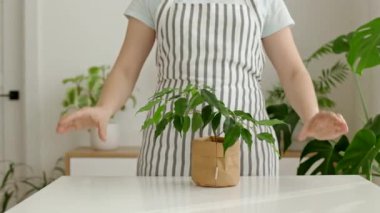 Önlüklü kadın, elleri küçük incirin üzerinde kalp işareti ile görünüyor. İlkbahar, bitkileri sulama ve bakım zamanı. Ev bitkilerine, doğaya, bahçeye sevgi kavramı