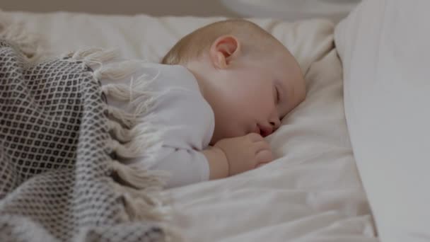 Søt liten gutt som sover om natten og gjør narr av å suge på bevegelser med lepper. Skjønne barn, dekket av sengetepper. God barndom – stockvideo