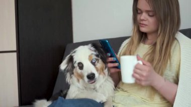 4 bin. Tatlı Avustralyalı çoban köpeği olan çekici bir kadın. Beyaz ekoseli kumaşın altında. Kahve iç ve telefonda mesaj at. Milenyum hayatı. Soğuk kış havasında evcil hayvanlar battaniyenin altında ısınır.. 