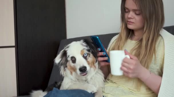 迷人的女人与可爱的澳大利亚牧羊犬蓝色的美人鱼 在白色格子花下喝咖啡 打电话发短信 千禧年的生活 在寒冷的冬季 宠物在毛毯下取暖 — 图库视频影像