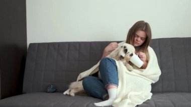 4 bin. Tatlı Avustralyalı çoban köpeği ve battaniyenin altında mavi köpekli çekici bir kadın.