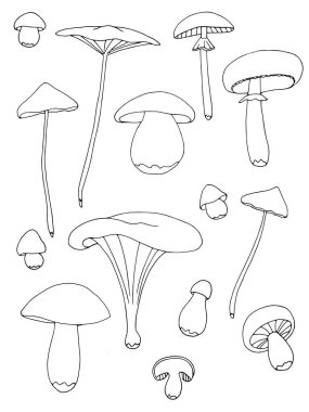 Orman teması. Bir dizi vektör karalaması. Mantar resimli karalamalar.