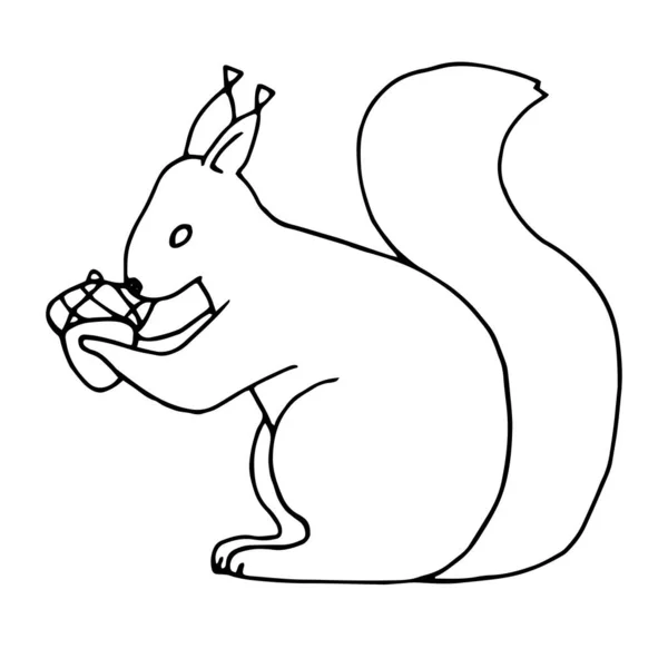 Desenho Crianças Morador Florestal Esquilo Estilizado Com Porca — Vetor de Stock