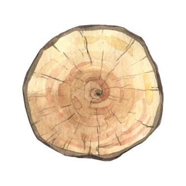 Beyaz arka planda izole bir nesne. Ahşap bir tablet suluboya ile boyanır. Metin tahtası.