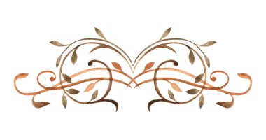 Dekoratif zarif kıvrım, metin ayırıcı. Beyaz arka planda elementler. Suluboya ile yapılmış klasik süs..