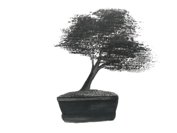 Aquarela Pintura Asiático Bonsai Isolado Branco Fundo — Fotografia de Stock