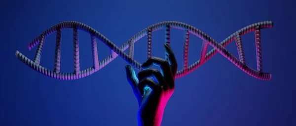 Рука Днк Спіраль Молекул Людини Дослідження Науки Біологічної Людина Структурою — стокове фото