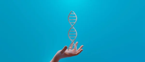 hand with dna human helix molecules cell, research of science biological,man with blood structure genome, 3d illustration rendering