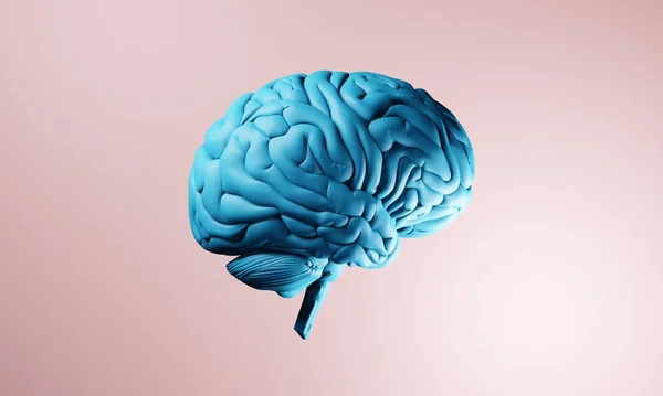 Мозок Ілюстрації Охорони Здоров Людини Здоров Нейронних Клітин Подумайте Про — стокове фото