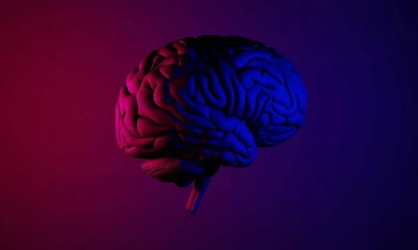 Nsan Sağlığı Illüstrasyonunun Boyutlu Beyni Nöron Hücresinin Sağlığı Arka Plandaki — Stok fotoğraf