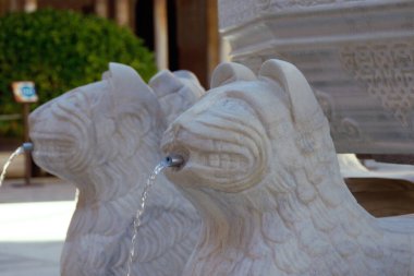 Granada (İspanya). Granada 'daki Alhambra' daki Nasrid Sarayı 'nın avlusundaki Fuente de los Leones mermer aslanlarından birinin ayrıntıları.