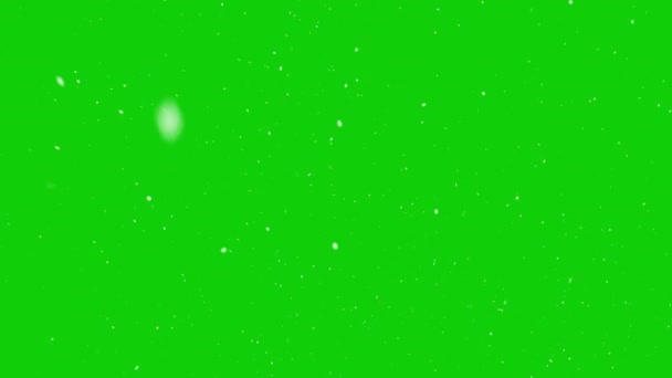녹색 화면에 눈이 내리는 모습 — 비디오