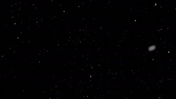 Snow falling isolated on black background — Αρχείο Βίντεο