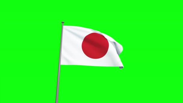 Ιαπωνική σημαία απομονωμένη στην πράσινη οθόνη — Αρχείο Βίντεο