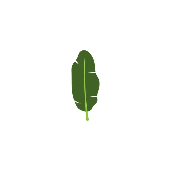 Muz Yaprağı Simgesi Stok Vektör Illüstrasyon Logosu Tasarımı — Stok Vektör