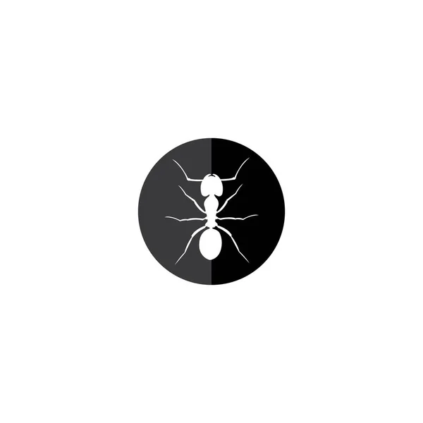 Ant Icon Vector Illustration Logo Design — Stock Vector