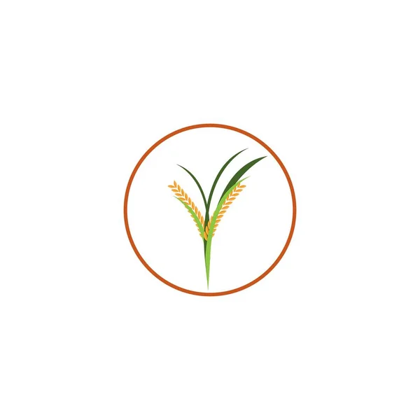 Вухо Овочевого Рису Ізольовано Білому Тлі Піктограма Векторні Ілюстрації — стоковий вектор