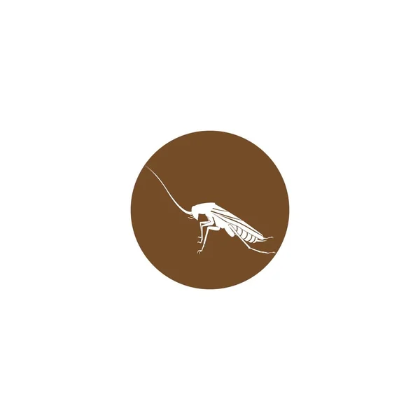 Hamamböceği Vektör Simgesi Logo Tasarımı — Stok Vektör