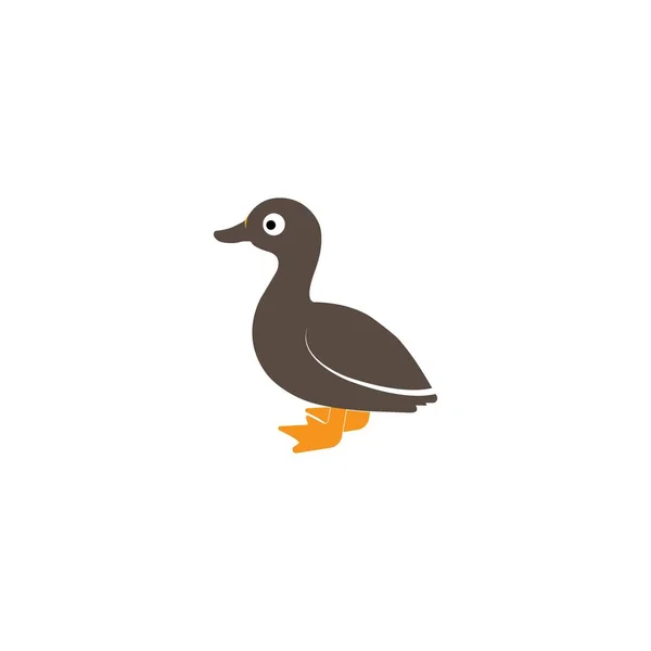 Vetor Pato Ícone Ilustração Logotipo Design —  Vetores de Stock