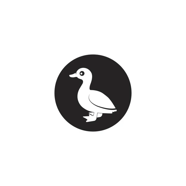 Ikona Wektor Kaczka Ilustracja Projekt Logo — Wektor stockowy