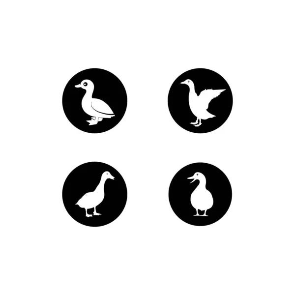 Pato Logotipo Vector Ilustración Diseño Plantilla — Vector de stock