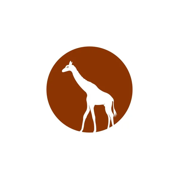 Girafa Ícone Vetor Ilustração Design Modelo —  Vetores de Stock