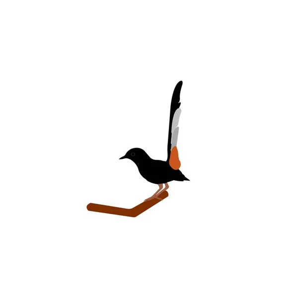 Vektorová Ilustrace Super Cvrlikajícího Ptáka Lze Použít Jako Velmi Atraktivní — Stockový vektor