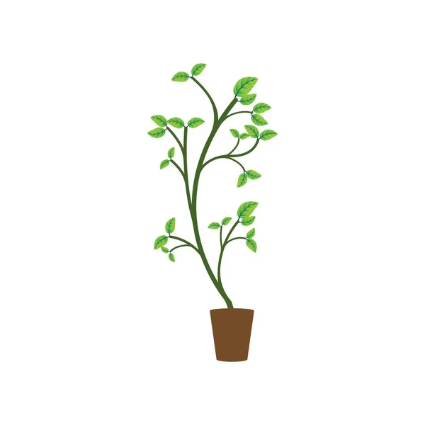 Planta Ornamental Icon Vector Ilustração Belo Design —  Vetores de Stock