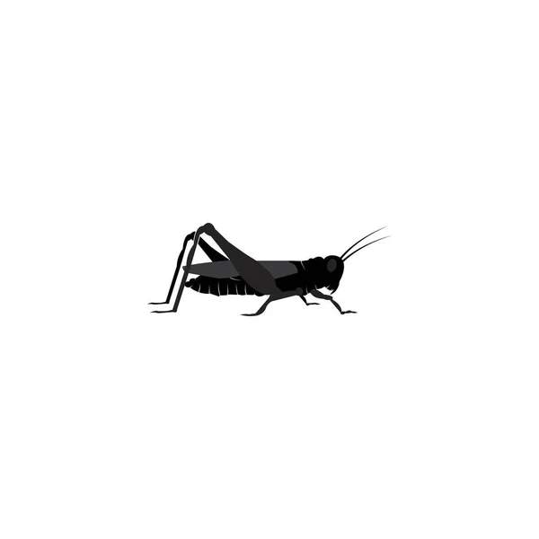 Grasshopper Icon Vector Illustration Logo Design — Stock Vector