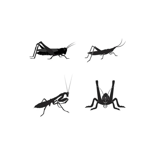 Grasshopper Icône Vectoriel Illustration Logo Design — Image vectorielle