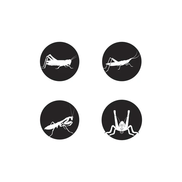 Grasshopper Icon Vector Illustration Logo Design — Vetor de Stock