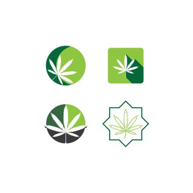 Kenevir yaprağı logo vektörü. Marihuananın tıbbi belirtileri, doğal organik bitkiler. Esrar, basit tasarım beyaz arkaplanda izole.