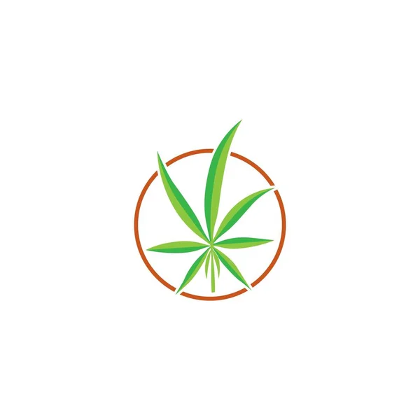 Vettore Del Logo Della Foglia Cannabis Segno Medicinale Marijuana Erbe — Vettoriale Stock