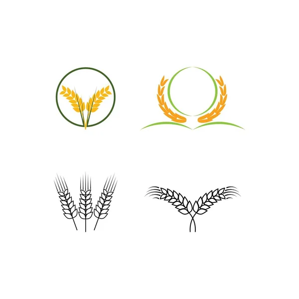 Logotipo Agricultura Trigo Desenho Símbolo Ilustração Vetorial —  Vetores de Stock