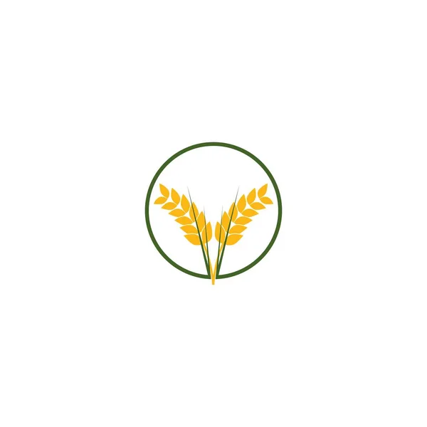 Logo Tarwelandbouw Vector Illustratie Symbool Ontwerp — Stockvector