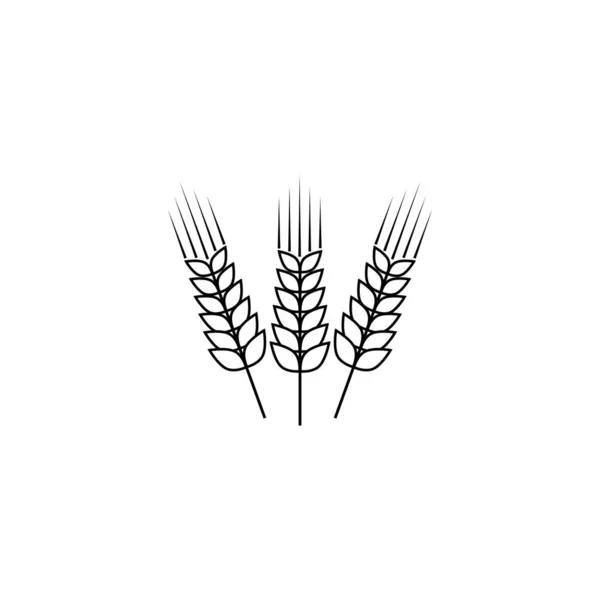 Логотип Пшеничного Сільського Господарства Векторна Ілюстрація Дизайн Символів — стоковий вектор